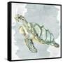 Sea Creatures 3-Kimberly Allen-Framed Stretched Canvas