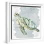 Sea Creatures 3-Kimberly Allen-Framed Art Print