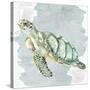 Sea Creatures 3-Kimberly Allen-Stretched Canvas