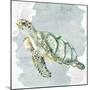 Sea Creatures 3-Kimberly Allen-Mounted Premium Giclee Print