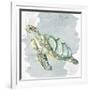 Sea Creatures 3-Kimberly Allen-Framed Art Print