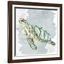 Sea Creatures 3-Kimberly Allen-Framed Art Print