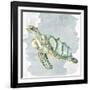 Sea Creatures 3-Kimberly Allen-Framed Art Print