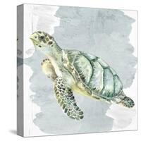 Sea Creatures 3-Kimberly Allen-Stretched Canvas