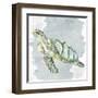 Sea Creatures 3-Kimberly Allen-Framed Art Print