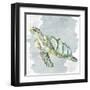 Sea Creatures 3-Kimberly Allen-Framed Art Print