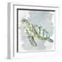 Sea Creatures 3-Kimberly Allen-Framed Art Print