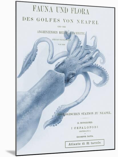 Sea Creatures - Napoli-Stephanie Monahan-Mounted Giclee Print