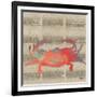 Sea Creatures on Newsprint I-Julie DeRice-Framed Art Print