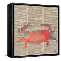 Sea Creatures on Newsprint I-Julie DeRice-Framed Stretched Canvas