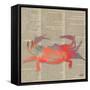 Sea Creatures on Newsprint I-Julie DeRice-Framed Stretched Canvas