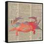 Sea Creatures on Newsprint I-Julie DeRice-Framed Stretched Canvas