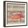 Sea Creatures on Newsprint I-Julie DeRice-Framed Art Print