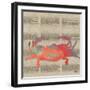 Sea Creatures on Newsprint I-Julie DeRice-Framed Art Print