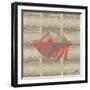 Sea Creatures on Newsprint II-Julie DeRice-Framed Art Print