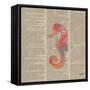 Sea Creatures on Newsprint IV-Julie DeRice-Framed Stretched Canvas