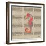 Sea Creatures on Newsprint IV-Julie DeRice-Framed Art Print