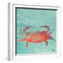 Sea Creatures on Teal I-Julie DeRice-Framed Art Print