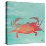 Sea Creatures on Teal I-Julie DeRice-Stretched Canvas