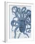 Sea Creatures - Sorrento-Stephanie Monahan-Framed Giclee Print