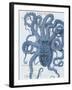 Sea Creatures - Sorrento-Stephanie Monahan-Framed Giclee Print