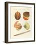Sea Creatures-null-Framed Giclee Print