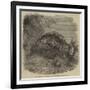 Sea-Cucumber, in the Gardens of the Zoological Society, Regent'S-Park-null-Framed Giclee Print