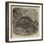 Sea-Cucumber, in the Gardens of the Zoological Society, Regent'S-Park-null-Framed Giclee Print