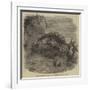 Sea-Cucumber, in the Gardens of the Zoological Society, Regent'S-Park-null-Framed Giclee Print