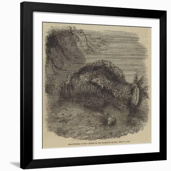 Sea-Cucumber, in the Gardens of the Zoological Society, Regent'S-Park-null-Framed Giclee Print