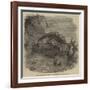 Sea-Cucumber, in the Gardens of the Zoological Society, Regent'S-Park-null-Framed Giclee Print