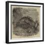 Sea-Cucumber, in the Gardens of the Zoological Society, Regent'S-Park-null-Framed Premium Giclee Print