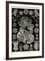 Sea Cucumbers-Ernst Haeckel-Framed Art Print