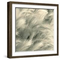 Sea Dune I-Adam Brock-Framed Giclee Print