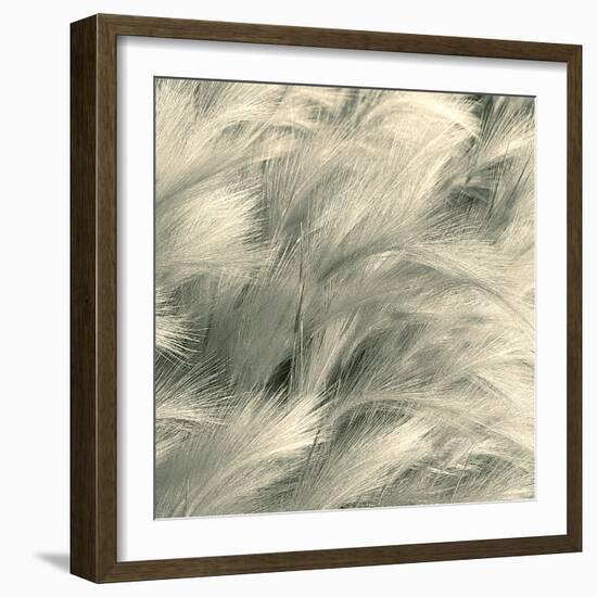 Sea Dune I-Adam Brock-Framed Giclee Print