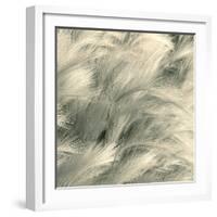 Sea Dune I-Adam Brock-Framed Giclee Print