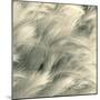 Sea Dune I-Adam Brock-Mounted Giclee Print