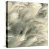 Sea Dune I-Adam Brock-Stretched Canvas