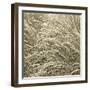 Sea Dune II-Adam Brock-Framed Giclee Print