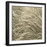 Sea Dune II-Adam Brock-Framed Giclee Print