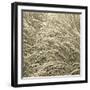 Sea Dune II-Adam Brock-Framed Giclee Print