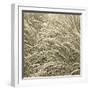 Sea Dune II-Adam Brock-Framed Giclee Print