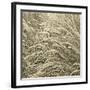 Sea Dune II-Adam Brock-Framed Giclee Print