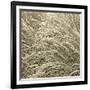 Sea Dune II-Adam Brock-Framed Giclee Print