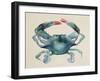 Sea Dweller III-Grace Popp-Framed Art Print