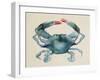 Sea Dweller III-Grace Popp-Framed Art Print