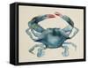 Sea Dweller III-Grace Popp-Framed Stretched Canvas