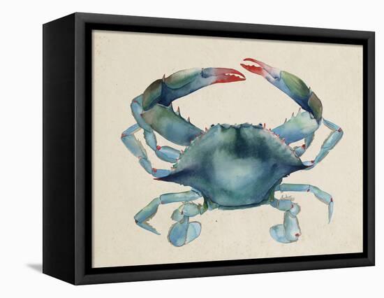 Sea Dweller III-Grace Popp-Framed Stretched Canvas