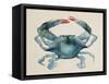 Sea Dweller III-Grace Popp-Framed Stretched Canvas