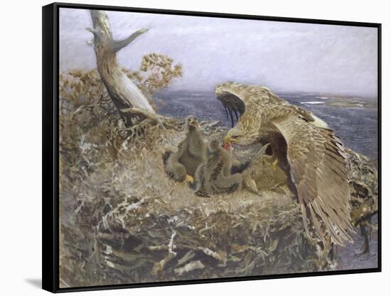 Sea Eagle's Nest, 1907-Bruno Andreas Liljefors-Framed Stretched Canvas